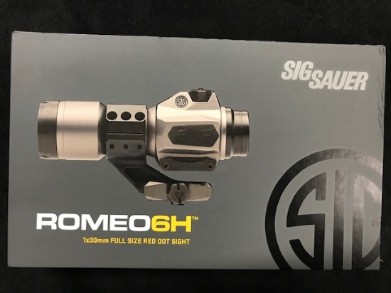 Sig Sauer Romeo 6H