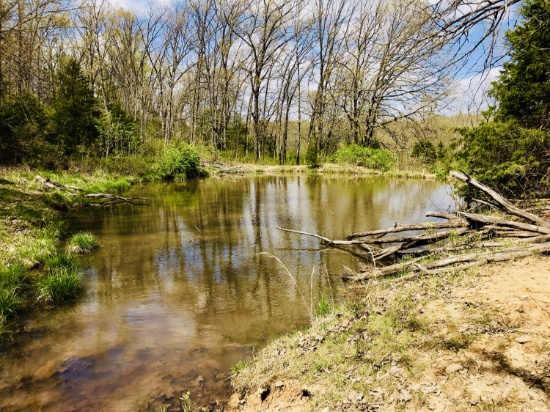 77 Acres of Prime Hunting Land Auction