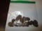 Lincoln Cents 1920's Various date/mints