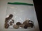 Lincoln Cents 1920's Various date/mints