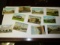 Postcards Taylor Texas Scenes Old