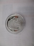 Indian Head/ Buffalo or reverse 1 ounce silver coins 2005