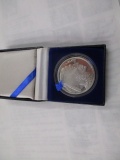 Indian Head/Buffalo or Reverse 1 ounce silver coin 2005