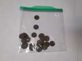 US Indian head cents 1901-1907 various dates 30 coins