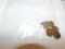 Canadian 1 cent coins 1924 (4), 1926 (6)