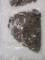 US Wheat cents approximately 6 pounds