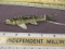 Motherway Fish Decoy