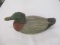 Swn Douglas Mallard
