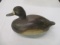 Wild Fowler Hen Blue Bill