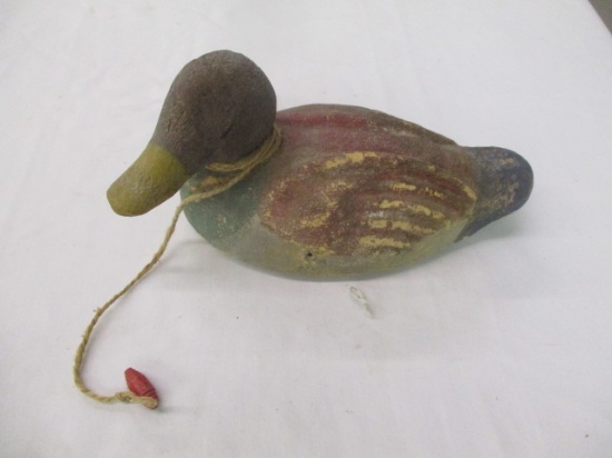 Swan Douglas- Rare