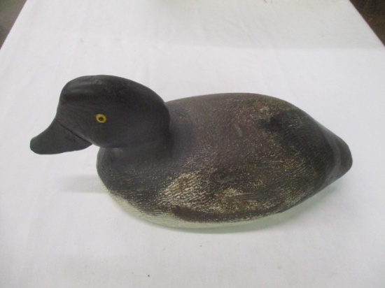 Golden Eye Hen Wisconsin