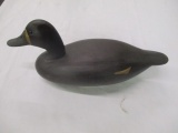 Delaware River Hen Blue Bill