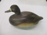 Wild Fowler Hen Blue Bill