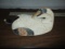 Eider Wood Duck Decoy - 14