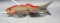 Heddon Ic Spook Fish Decoy
