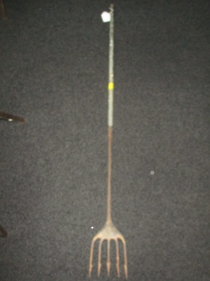 5 Tine Fish Spear