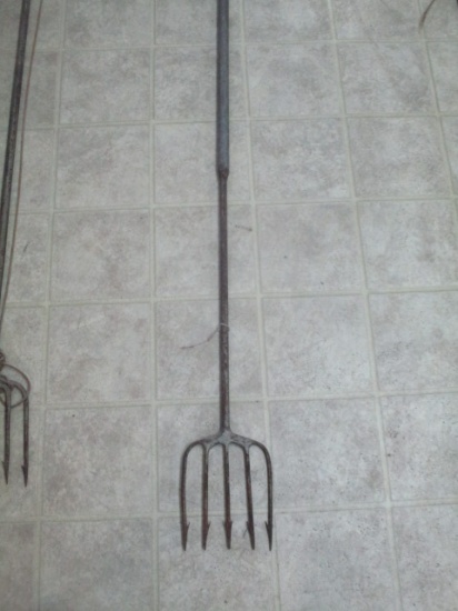 5 Tine Fish Spear