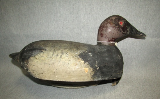 Canvasback Duck Decoy