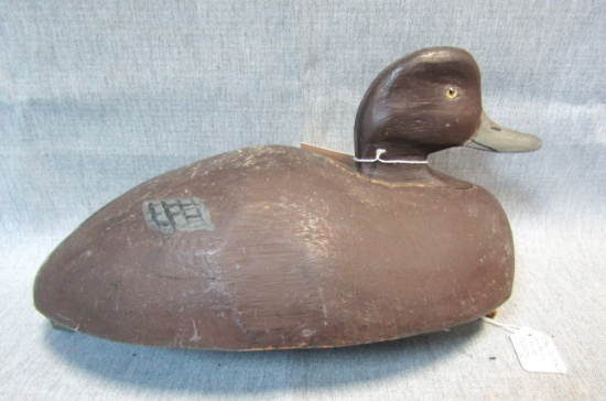 Duck Decoy