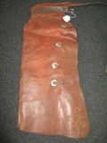 Great West Saddlery Batwings Chaps Marked on Belt (Great West Saddlery Co./Horse Show Brand)