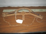 #4 Newhouse Trap