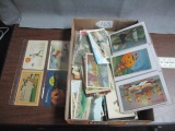 100 Plus Halloween and other postcards