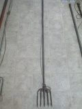 5 Tine Fish Spear