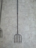 5 Tine Fish Spear