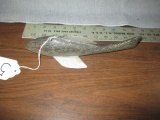 MN Woodtail Fish Decoy - 10