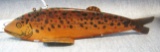 Fish Decoy 9