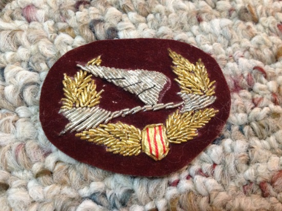 vietnam pathfinder theatermade beret badge
