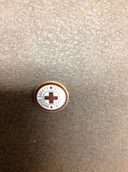 arc red cross water safety instructor pin