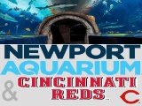 Cincinnati Reds and Newport Aquarium
