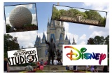 Magic of Walt Disney World & WonderWorks