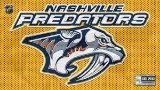 Two Nashville Predators Hockey Tickets