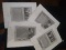 Collection 4 Unframed Steel Engravings-