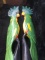 Pair Hand painted Carved Wooden Tropical Parrot