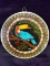 Brazil Souvenir Wall Plaque -Toucan Bird