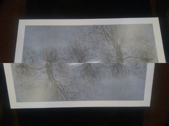 Jeff Jakub Unframed Print-"Carolina Snowfall" 31/100 Artist Proof