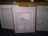 Collection 3 Framed Nautical Prints
