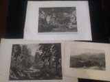Collection 3 Unframed Antique Steel Engravings
