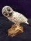 Artisan Hand Carved and Painted Owl on Driftwood Base