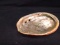 Mother  of Pearl Abalone Shell