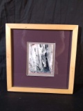 Framed Photograph-Icicle-signed Lisa Laflamme