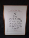 Framed Pencil and Ink-An Odd Bestiary signed