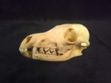 Skull and Jawbones