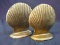 Pair Brass Seashell Bookends