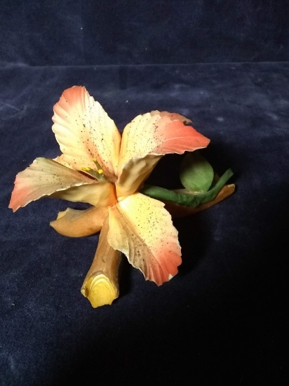 Early Porcelain Capodimonte Flower
