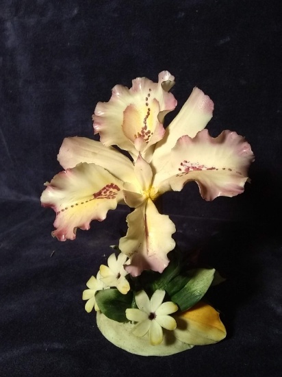 Early Porcelain Capodimonte Orchid