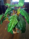 Faux Tropical Plant